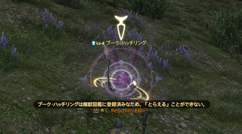 FF14の魔獣使いで登録済みの魔獣に「みやぶる」を使用した画面